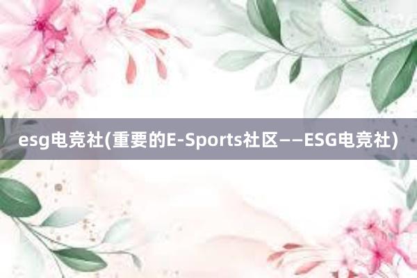 esg电竞社(重要的E-Sports社区——ESG电竞社)