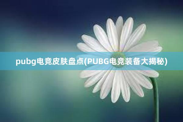 pubg电竞皮肤盘点(PUBG电竞装备大揭秘)