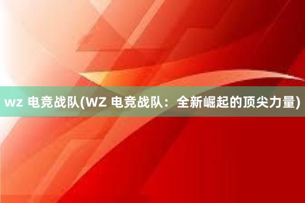 wz 电竞战队(WZ 电竞战队：全新崛起的顶尖力量)