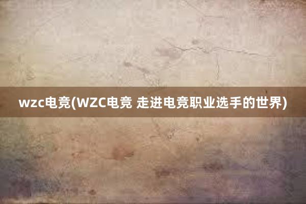 wzc电竞(WZC电竞 走进电竞职业选手的世界)