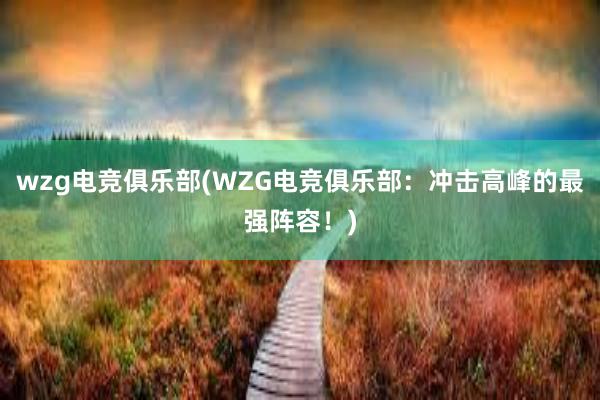 wzg电竞俱乐部(WZG电竞俱乐部：冲击高峰的最强阵容！)