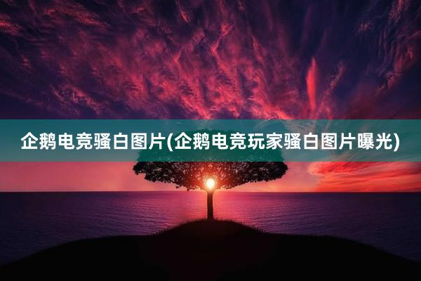 企鹅电竞骚白图片(企鹅电竞玩家骚白图片曝光)