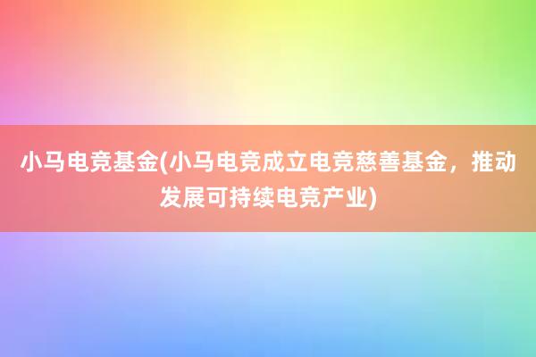 小马电竞基金(小马电竞成立电竞慈善基金，推动发展可持续电竞产业)