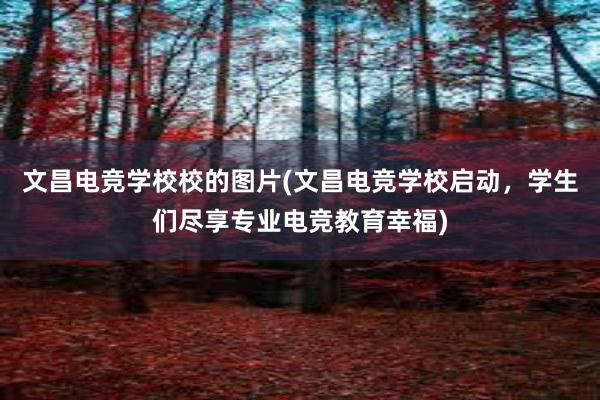 文昌电竞学校校的图片(文昌电竞学校启动，学生们尽享专业电竞教育幸福)