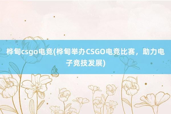 桦甸csgo电竞(桦甸举办CSGO电竞比赛，助力电子竞技发展)