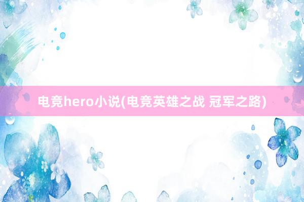 电竞hero小说(电竞英雄之战 冠军之路)