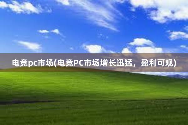 电竞pc市场(电竞PC市场增长迅猛，盈利可观)