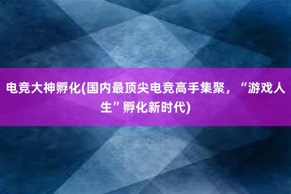 电竞大神孵化(国内最顶尖电竞高手集聚，“游戏人生”孵化新时代)