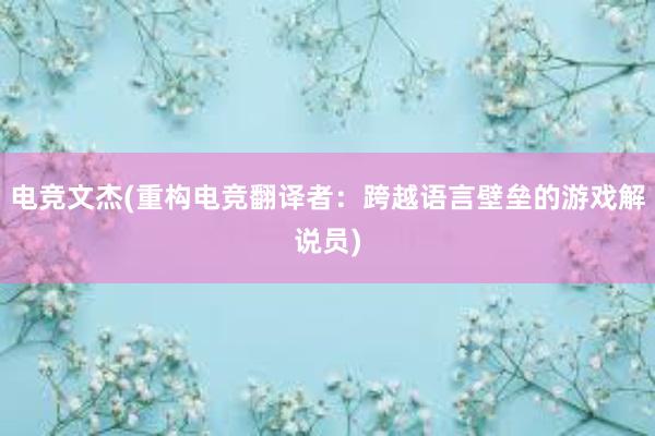 电竞文杰(重构电竞翻译者：跨越语言壁垒的游戏解说员)