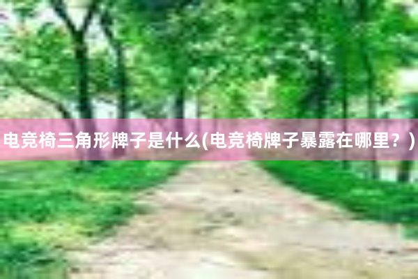 电竞椅三角形牌子是什么(电竞椅牌子暴露在哪里？)