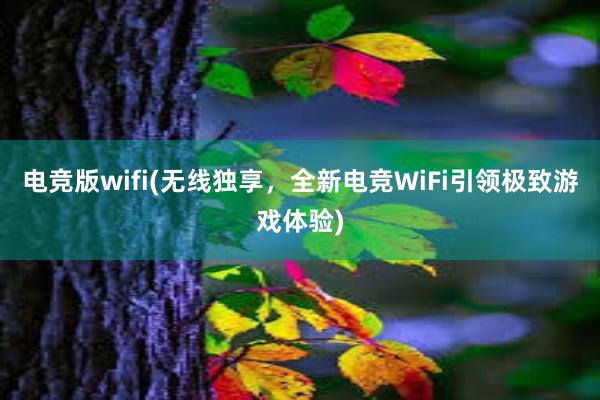 电竞版wifi(无线独享，全新电竞WiFi引领极致游戏体验)