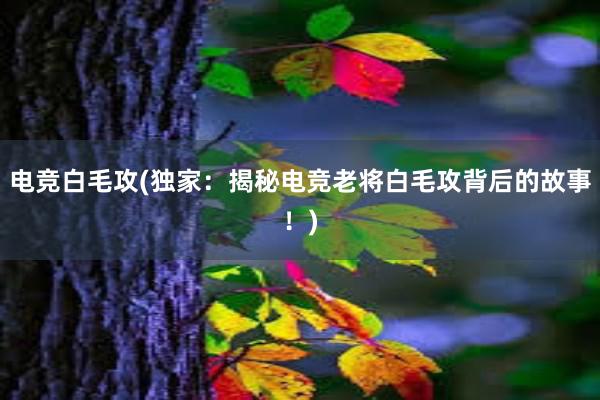 电竞白毛攻(独家：揭秘电竞老将白毛攻背后的故事！)