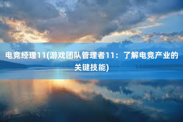 电竞经理11(游戏团队管理者11：了解电竞产业的关键技能)