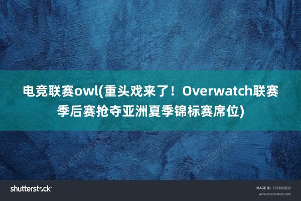 电竞联赛owl(重头戏来了！Overwatch联赛季后赛抢夺亚洲夏季锦标赛席位)