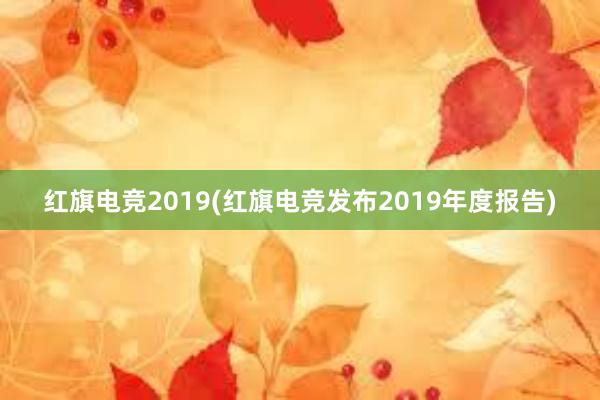 红旗电竞2019(红旗电竞发布2019年度报告)