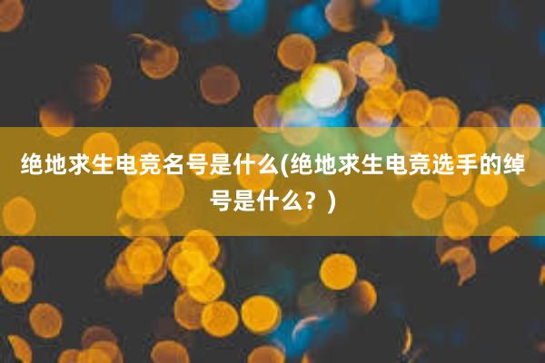 绝地求生电竞名号是什么(绝地求生电竞选手的绰号是什么？)