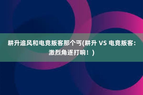 耕升追风和电竞叛客那个丐(耕升 VS 电竞叛客：激烈角逐打响！)