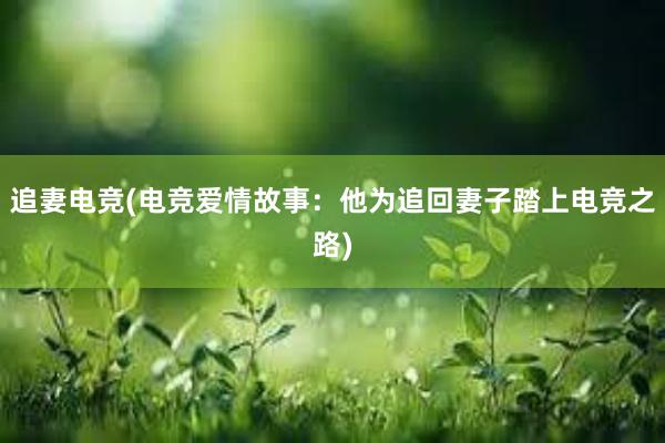 追妻电竞(电竞爱情故事：他为追回妻子踏上电竞之路)