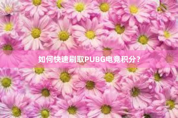 如何快速刷取PUBG电竞积分？