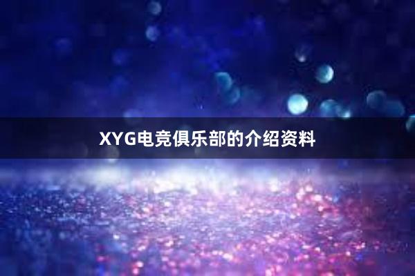 XYG电竞俱乐部的介绍资料