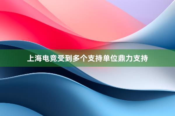 上海电竞受到多个支持单位鼎力支持