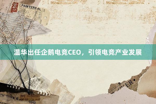 温华出任企鹅电竞CEO，引领电竞产业发展