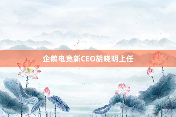 企鹅电竞新CEO胡晓明上任