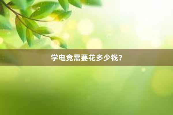 学电竞需要花多少钱？