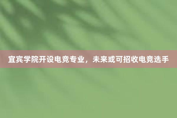 宜宾学院开设电竞专业，未来或可招收电竞选手