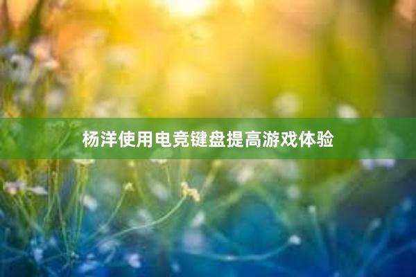 杨洋使用电竞键盘提高游戏体验