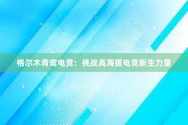 格尔木青鸾电竞：挑战高海拔电竞新生力量