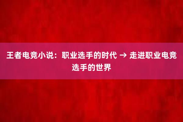 王者电竞小说：职业选手的时代 → 走进职业电竞选手的世界