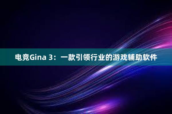 电竞Gina 3：一款引领行业的游戏辅助软件