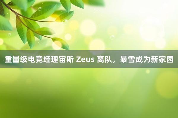 重量级电竞经理宙斯 Zeus 离队，暴雪成为新家园