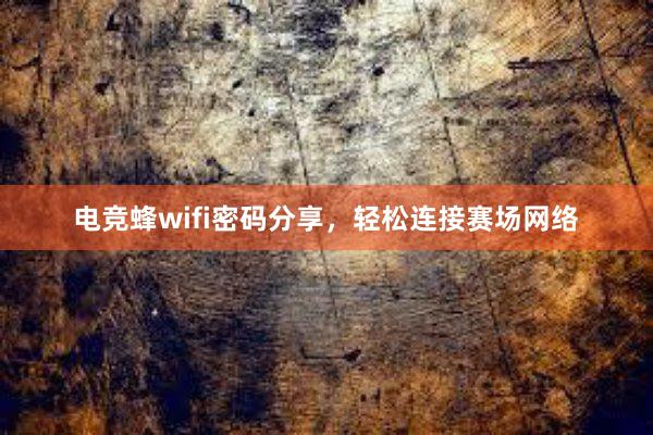 电竞蜂wifi密码分享，轻松连接赛场网络