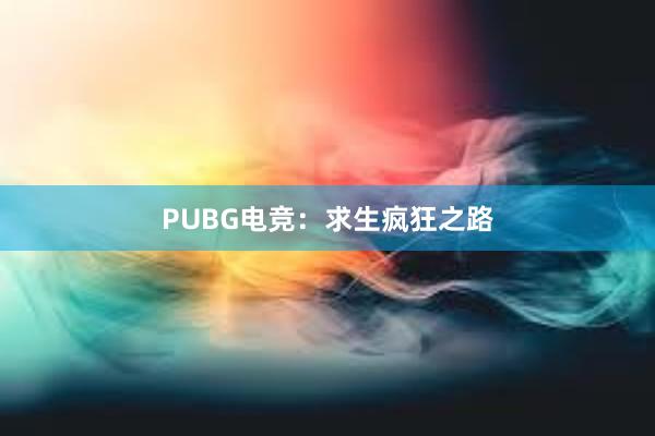 PUBG电竞：求生疯狂之路