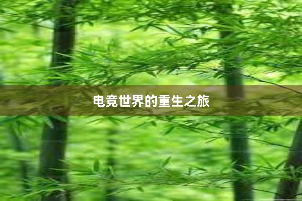 电竞世界的重生之旅